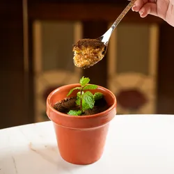 Maceta de Fanguito al Tres Leches